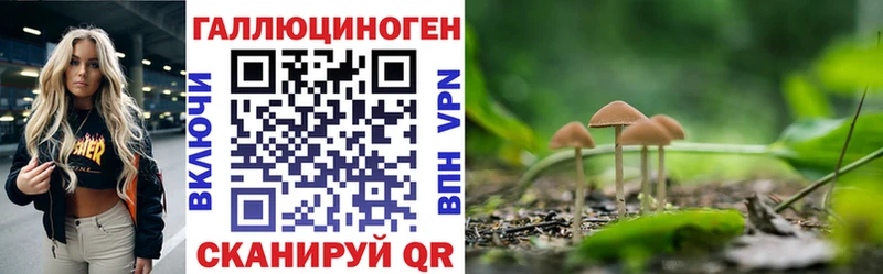 kraken рабочий сайт Сегежа Галлюциногенные грибы Cubensis где купить наркоту